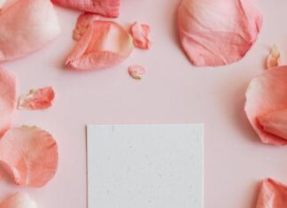 Ontdek de mooiste laminaatvloeren voor jouw Alkmaarse woning