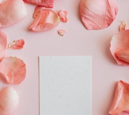 Ontdek de mooiste laminaatvloeren voor jouw Alkmaarse woning