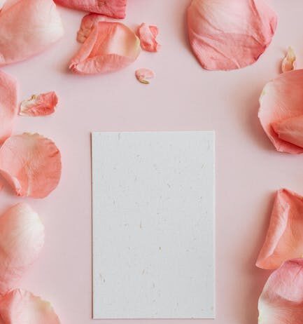 Ontdek de mooiste laminaatvloeren voor jouw Alkmaarse woning