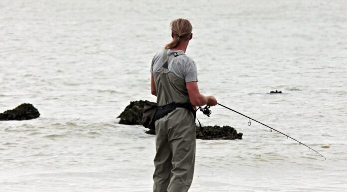 Ontdek de tofste visstekken met een fishfinder en reel hengel!