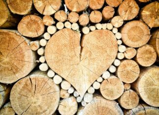 Ontdek de Magie van Noirwood: Vure Noir en Frake Noir