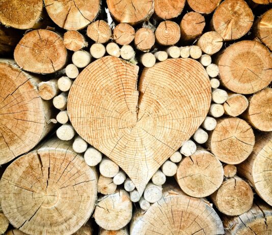 Ontdek de Magie van Noirwood: Vure Noir en Frake Noir