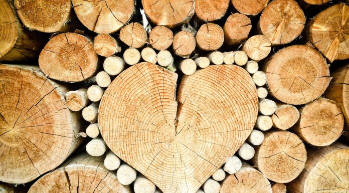 Ontdek de Magie van Noirwood: Vure Noir en Frake Noir