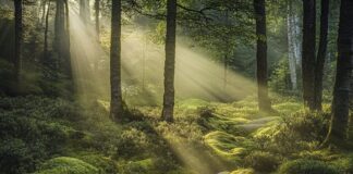 Financiële tips voor scholieren: studiefinanciering en besparen