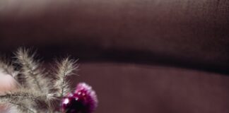 Speciaal cadeau voor haar: van badzout tot gepersonaliseerde wijn